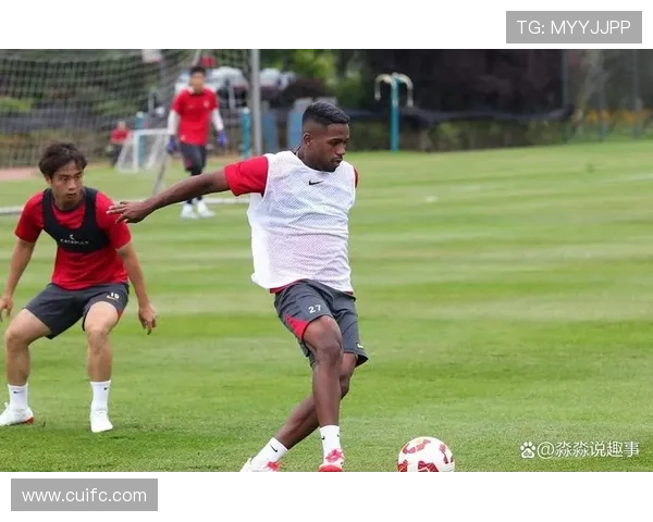 足球明星的家务挑战外号背后的生活趣事与幽默时刻 足球明星的家务挑战外号背后的生活趣事与幽默时刻