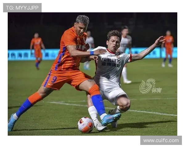 武汉排球队强势领跑联赛积分榜积60分展现冠军实力