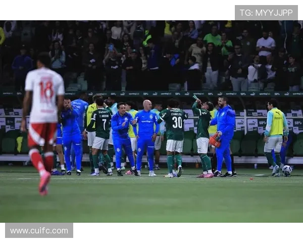 巴西足球明星吸毒事件揭示体育界的隐秘危机与反思