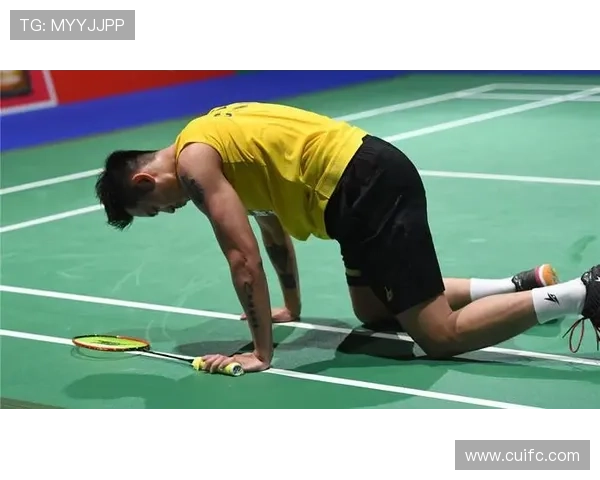 深入分析西安羽毛球队阵地战战术与技巧的专业解读