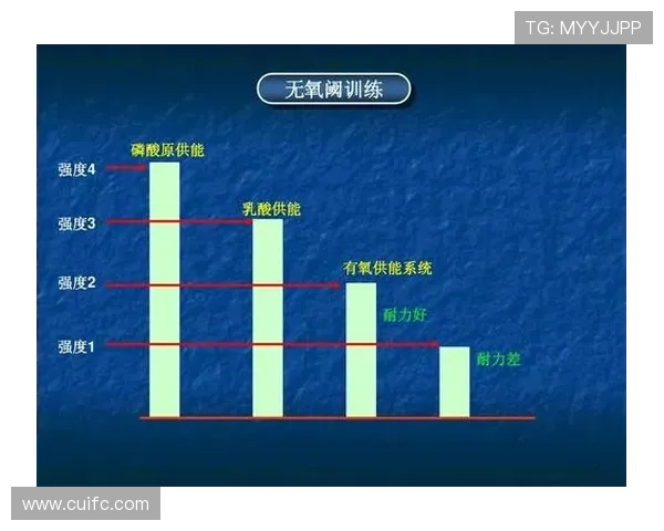 成都羽毛球队的战术演变与转换体系研究探讨